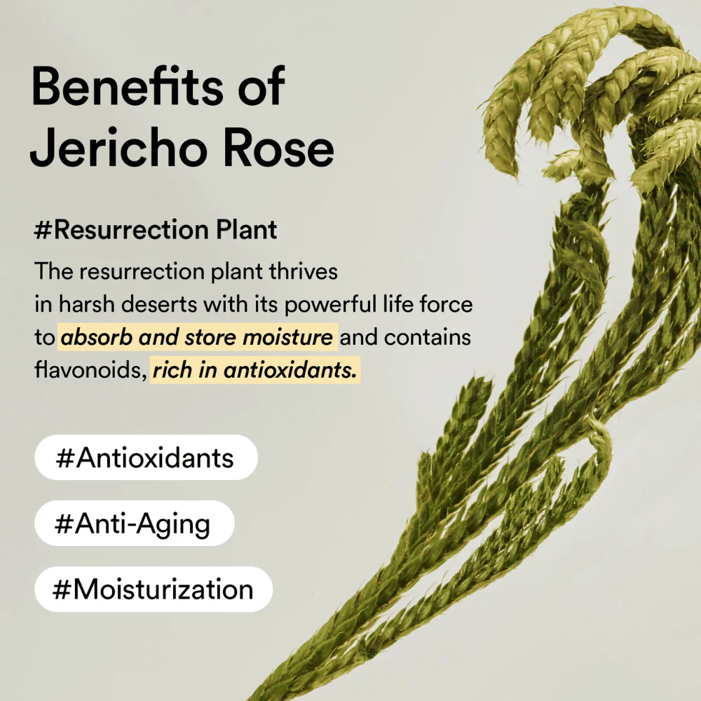 ABIB COLLAGEN EYE CREAM JERICHO ROSE TUBE 30 ML - Imagen 5