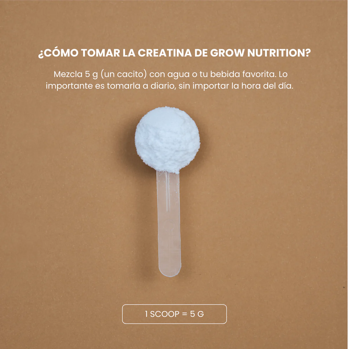 GROW NUTRITION CREATINA CREAPURE SANDIA-MELON 250 GR - Imagen 3